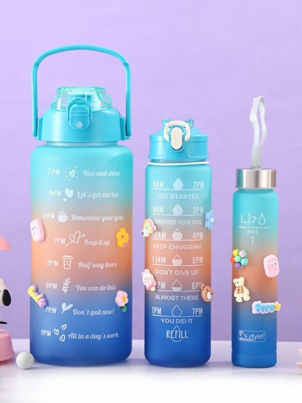 3 pack water bottles with  2l large bottle 700mlportable bottle and 300ml mini bottle motivational (random color)
