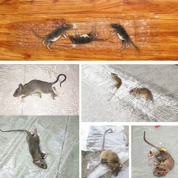 120 x 28cm invisible and transparent rat killing magic carpet rodents moles trap rat mice trap clear invisible mouse glue trap