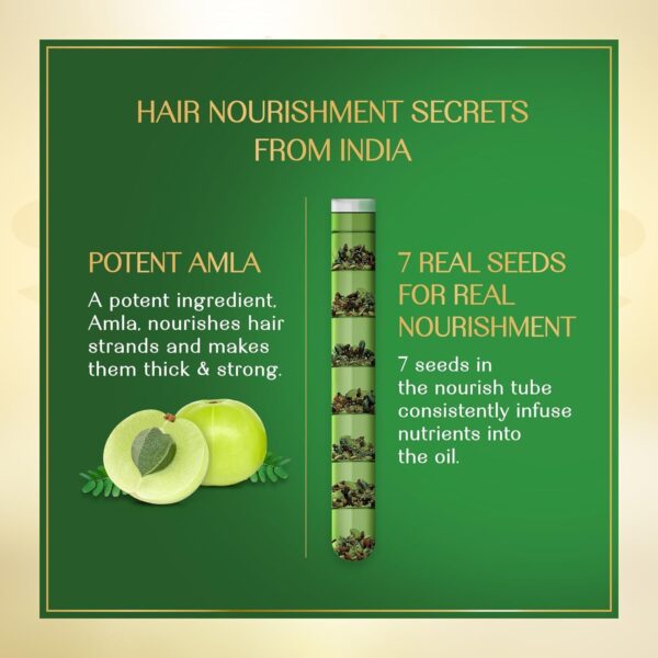 herbs india amla & 7 seeds hair oil - 280 ml, nourishing blend for hair growth, strength & shine - Image 5