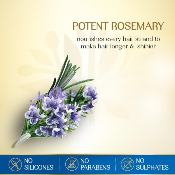 herbs india 7 seed hair oil with rosemary - 280 ml | nourishing herbal oil for lush, healthy hair - Image 3