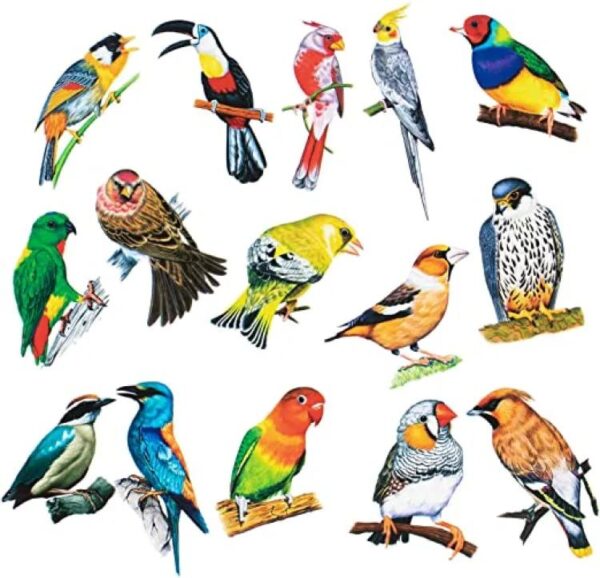 3d art crafts birdswall stickers  (pack of 8 pcs )