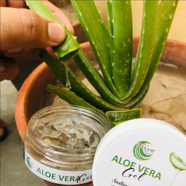 aloe vera gel (100g) - Image 5