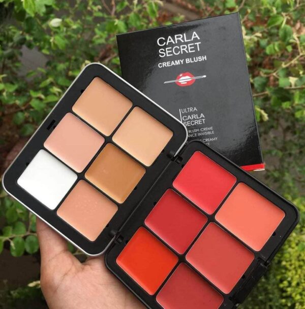 trendy carla secret cream concealer & blush pallet