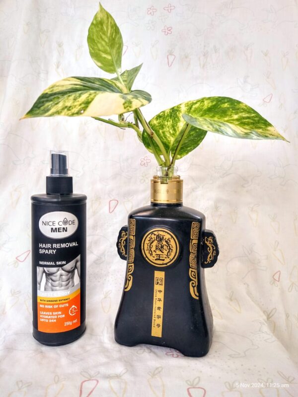 hair removal spray | hair removal for whole body | hair removal spray foam for private parts | quick hair removal spray | painless hair removal spray | best hair removal cream spray | (250g) - Image 5