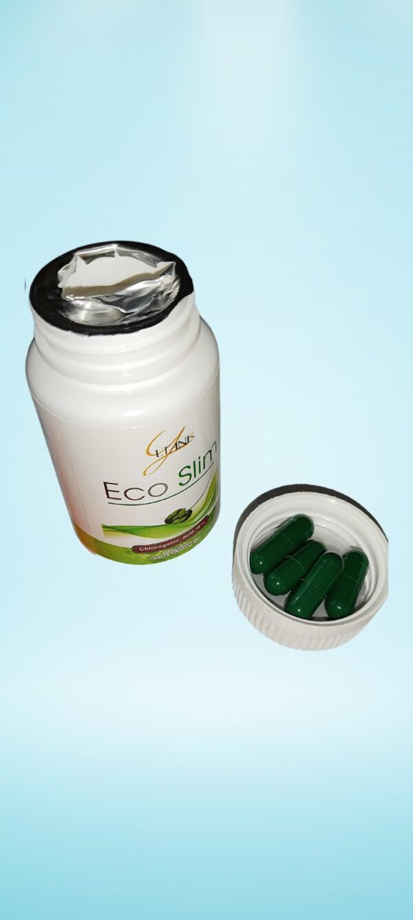 eco slim capsule / natural weight loss formula - Image 5