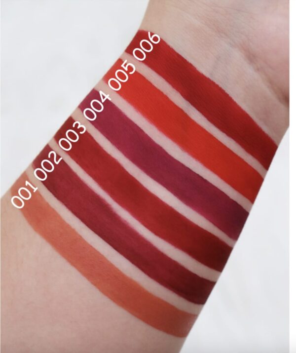( pack of 6 )  wynie velvet lip matte lipgloss - Image 5