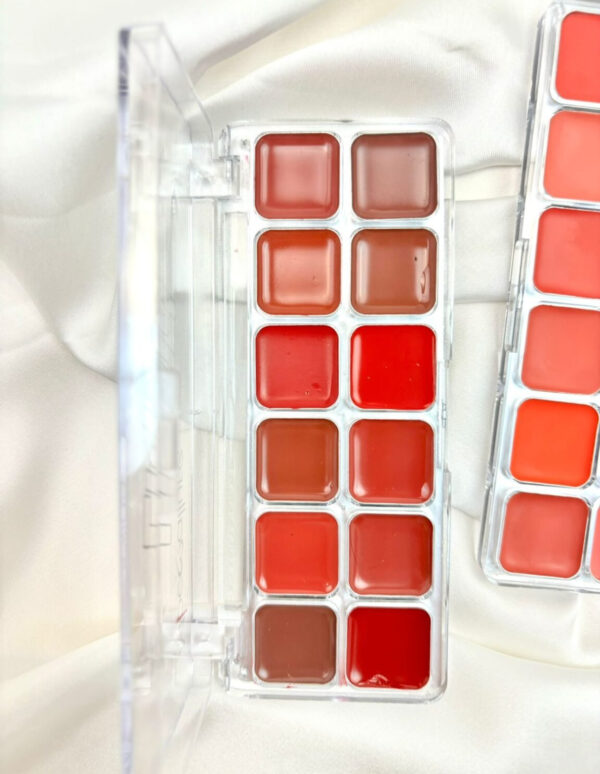 violet makup lip cream pallete | matte color lipstick palette | eyeshadow pallete (random shades)