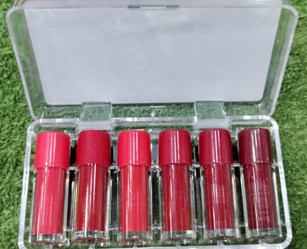 pack of 6 nude matte high pigment lipgloss - Image 2