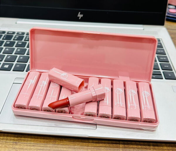 dragon ranee 10 pieces velvet matte pink lipstick set | long lasting makeup waterproof lip gloss for girls & womens - Image 8