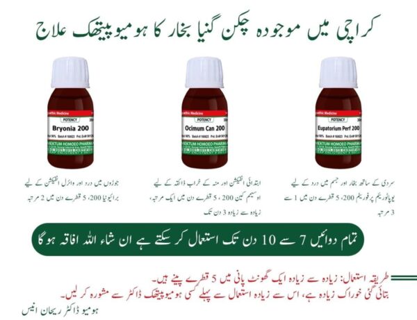 homeopathic treatment for the current chikungunya fever* - Image 2