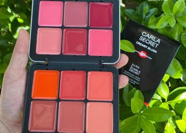 12 in 1 creamy blush lipstick palette - Image 2