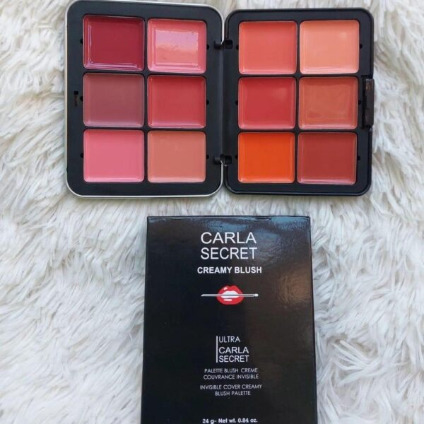 12 in 1 creamy blush lipstick palette