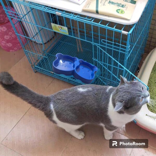 cat shaped double food bowl pet plastic food bowl (random color) - Image 2