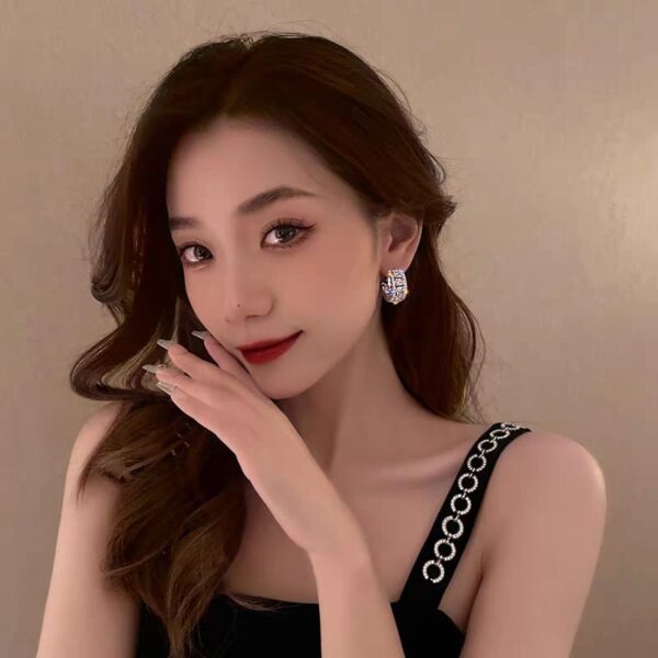 korean luxury zirconium hoops earrings  for girls