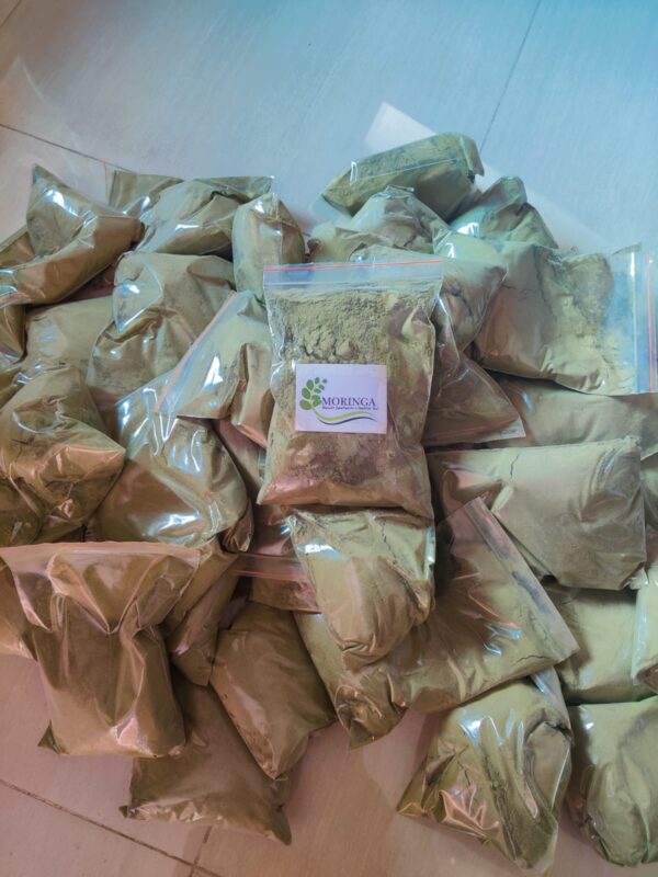 moringa leaf powder moringa high quality powder - Image 2