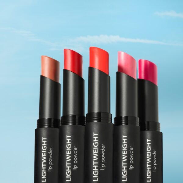pack of 6 light weight lip powder lipstick high pigment lipstick, always with me(random color)