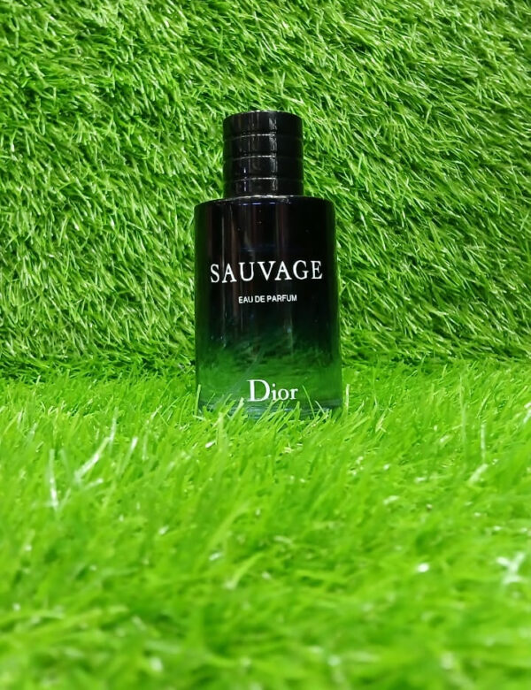 dior sauvage eau de perfume | long lasting fragrance 100ml - Image 6