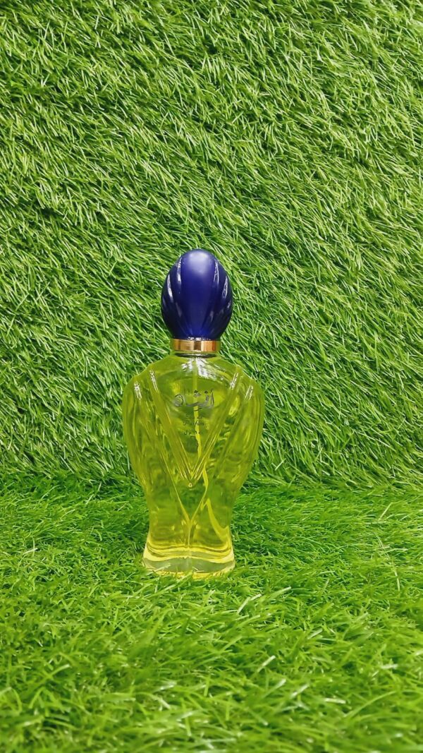 afshan perfume for unisex high quality 1st copy eau de  long lasting perfume 100 ml - Image 16