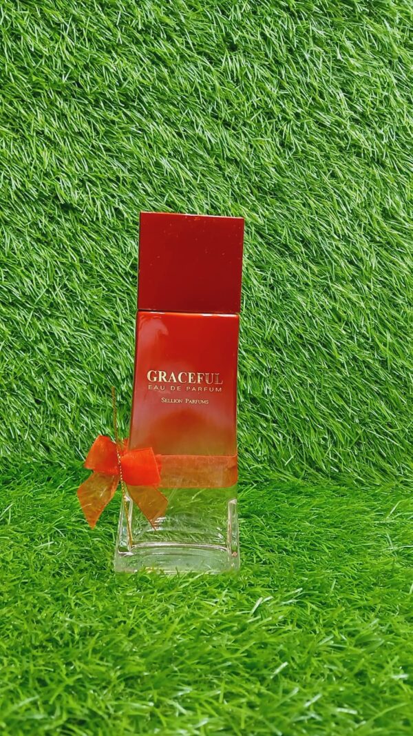afshan perfume for unisex high quality 1st copy eau de  long lasting perfume 100 ml - Image 10