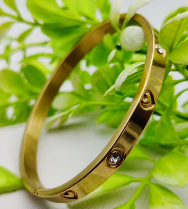 adjustable cartier heart charm bracelet – imported luxury  bracelet | best quality artificial bracelet for girls & women | bracelet for every occasion | elegant design ✨