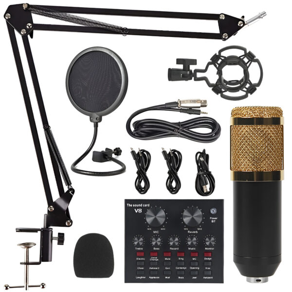 v8 bm-800 podcast mic set youtube recording mic set